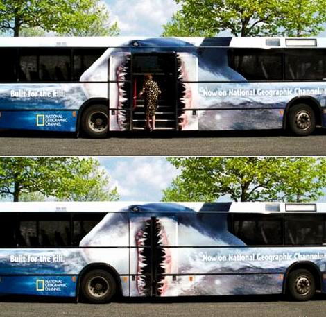 avtobus.jpg