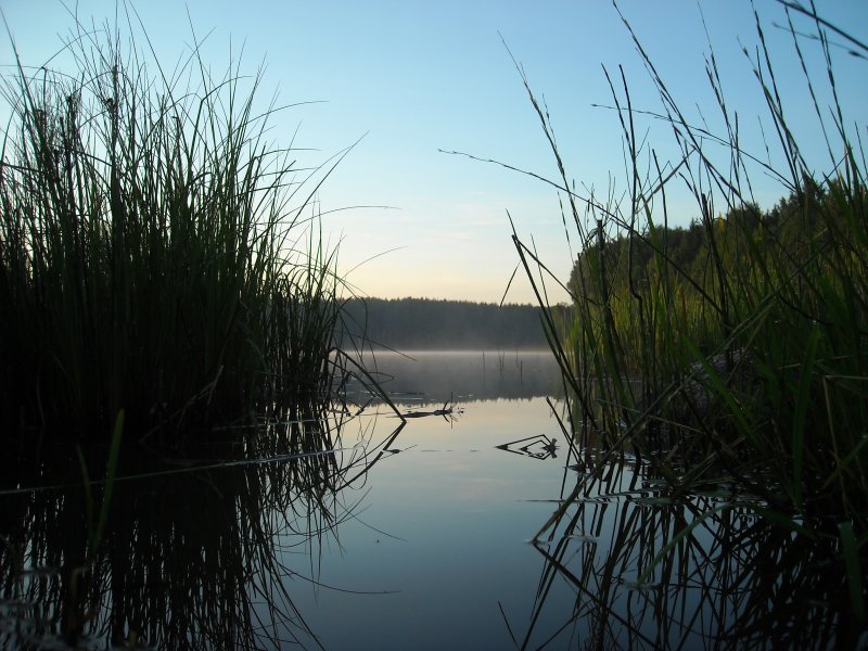 Озеро Бурые - Плещеницы