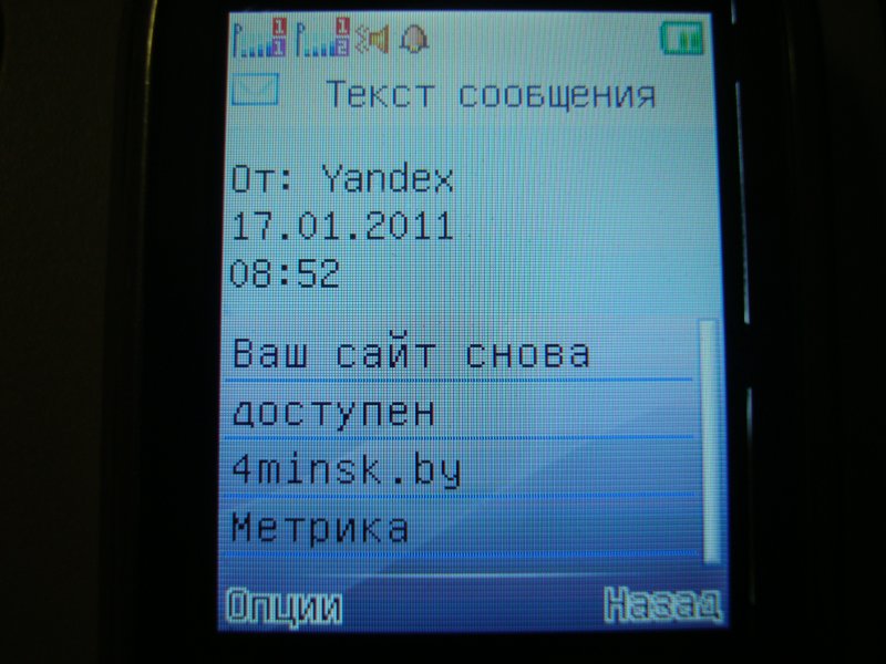 Яндекс.Метрика - уведомление о состоянии сайта
